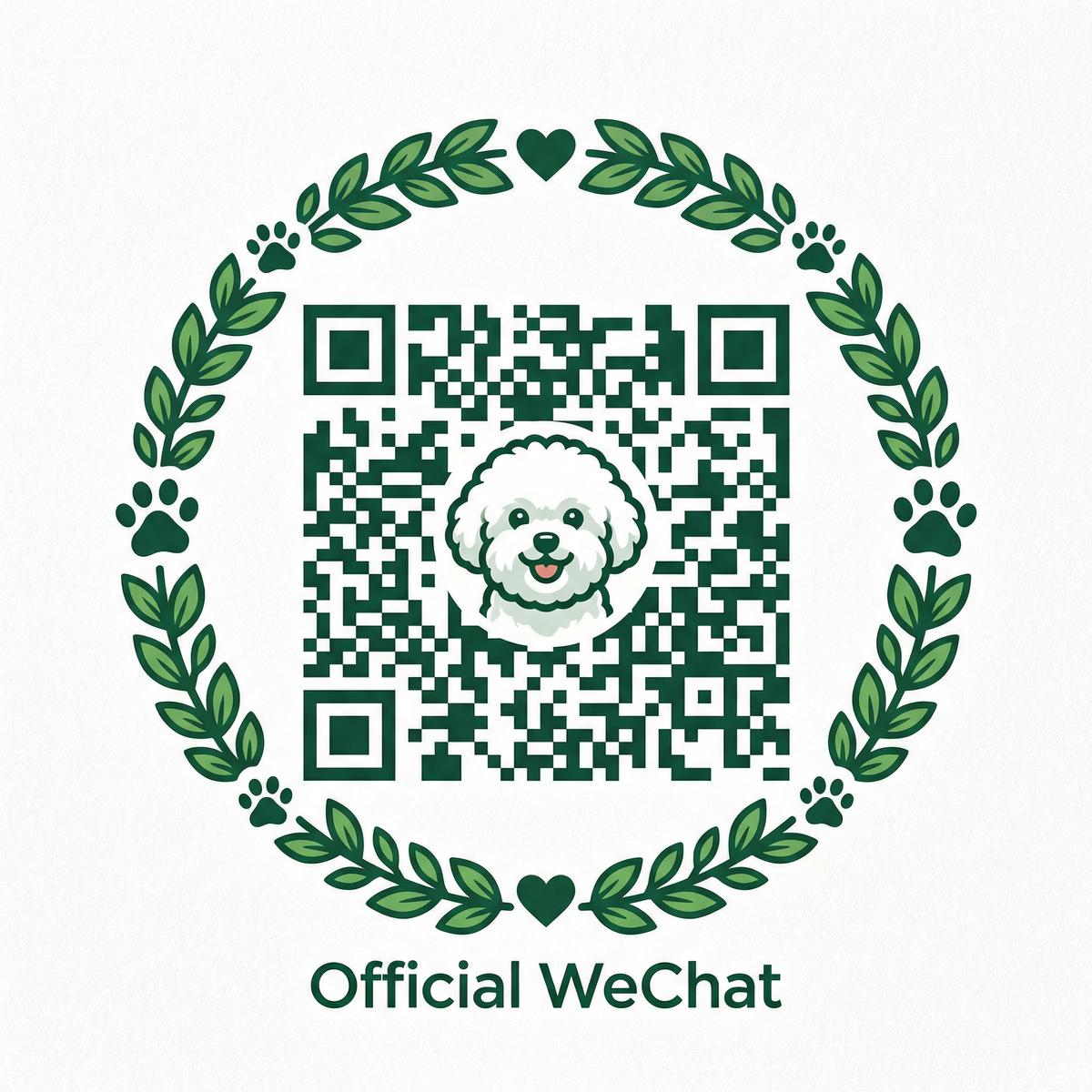 高清视频公众号二维码